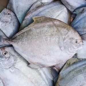 C Fresh Agro Online Order – Fresh Seafood & Meat Vancouver