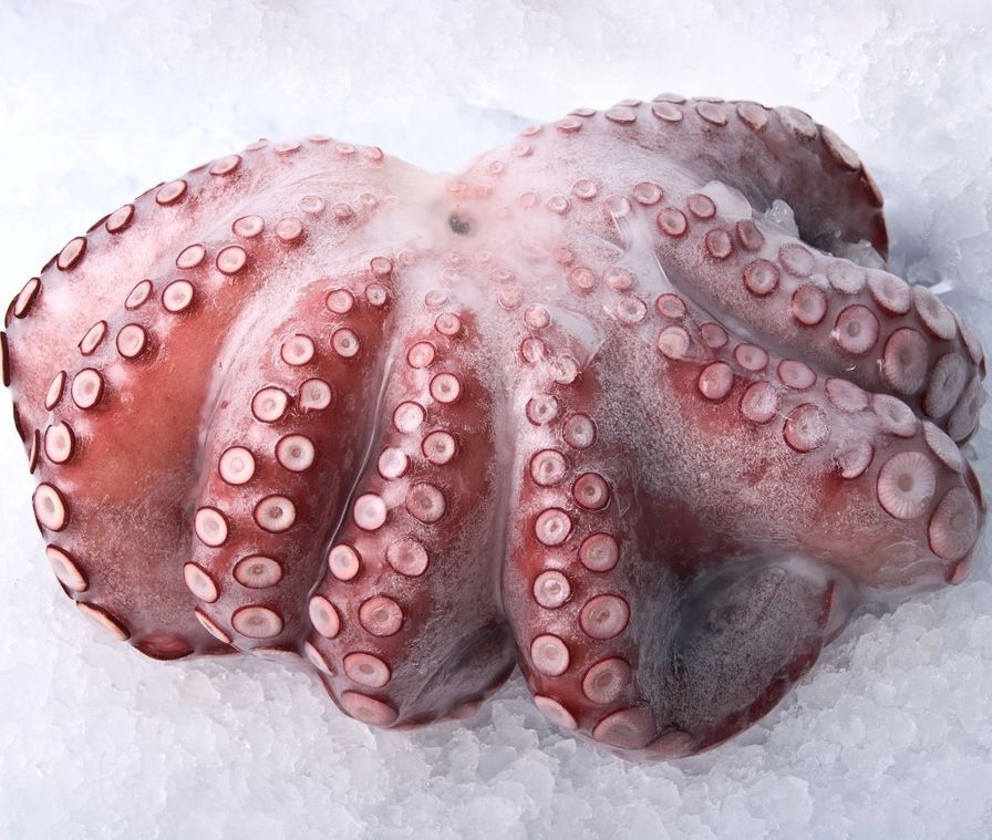Frementle Octopus Frozen (2lb)
