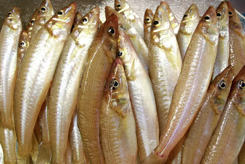 Silver Whiting Fresh (1lb)