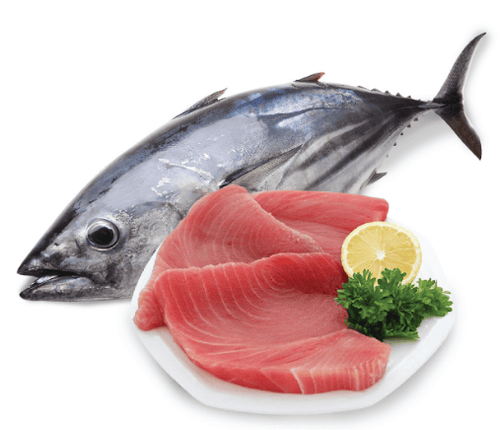 Tuna Whole