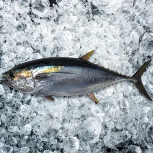 C Fresh Agro Online Order – Fresh Seafood & Meat Vancouver