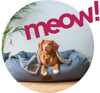 C Fresh Agro Online Order – Fresh Seafood & Meat Vancouver