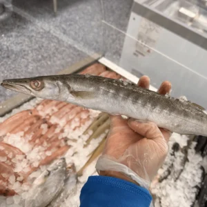 C Fresh Agro Online Order – Fresh Seafood & Meat Vancouver