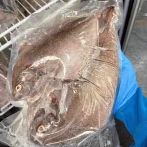 C Fresh Agro Online Order – Fresh Seafood & Meat Vancouver