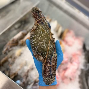 C Fresh Agro Online Order – Fresh Seafood & Meat Vancouver