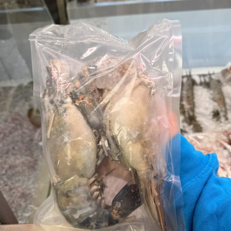 FROZEN SCAMPI