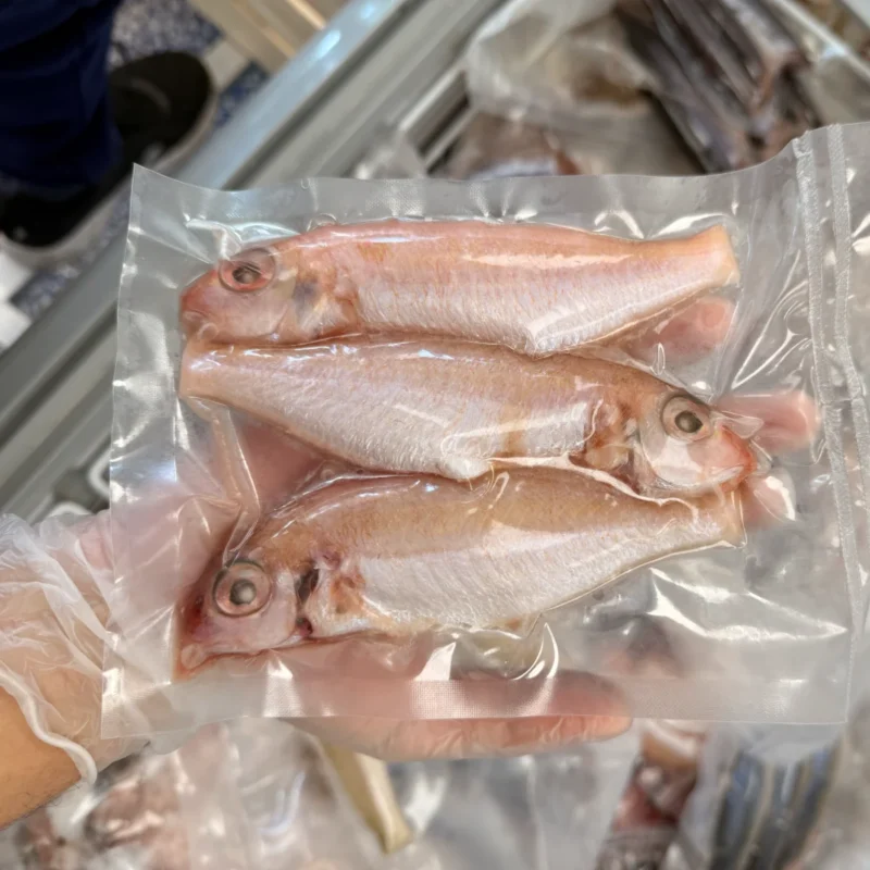 FROZEN THREAD FIN BREAM