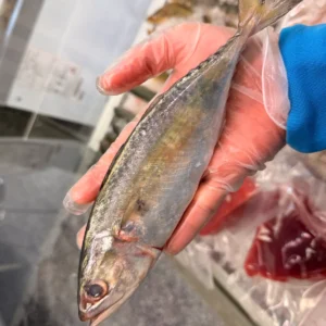 C Fresh Agro Online Order – Fresh Seafood & Meat Vancouver