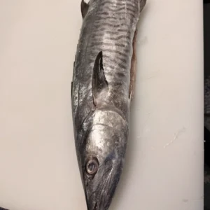 C Fresh Agro Online Order – Fresh Seafood & Meat Vancouver
