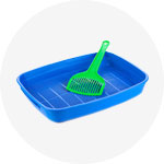 C Fresh Agro Online Order – Fresh Seafood & Meat Vancouver