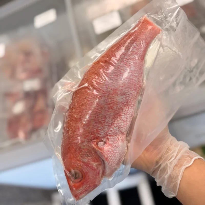 Red Snapper (1lb)