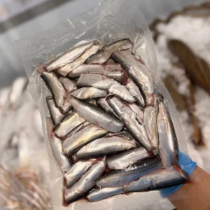 C Fresh Agro Online Order – Fresh Seafood & Meat Vancouver