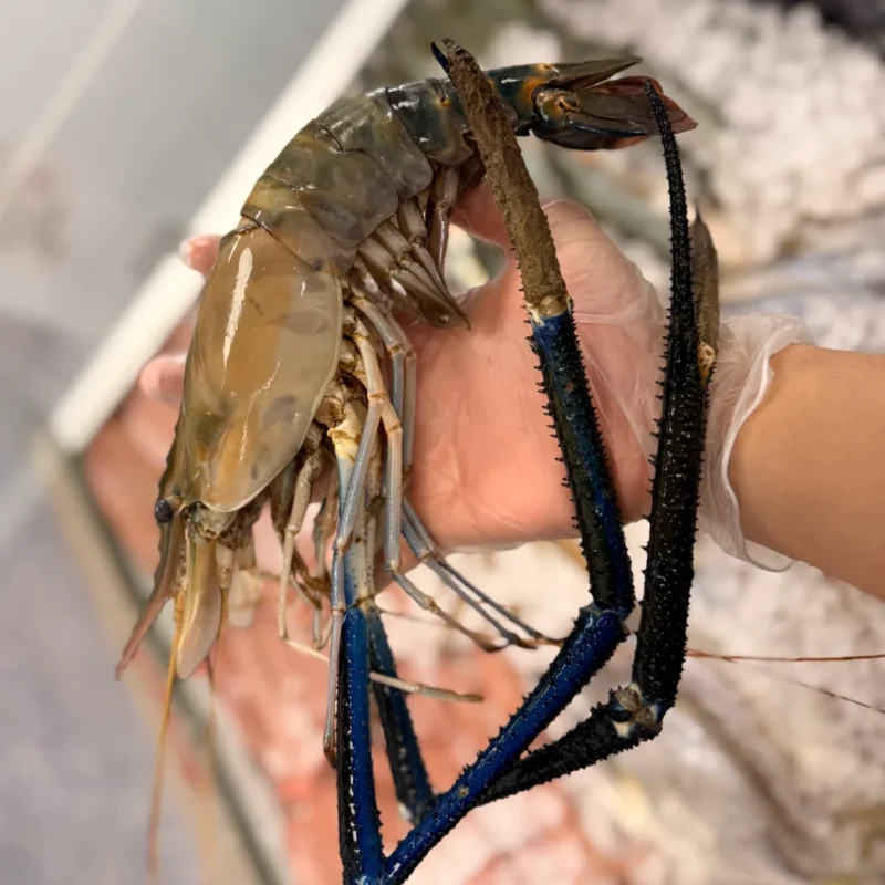 SCAMPI