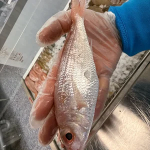 C Fresh Agro Online Order – Fresh Seafood & Meat Vancouver