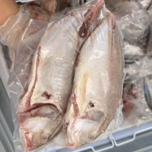 C Fresh Agro Online Order – Fresh Seafood & Meat Vancouver