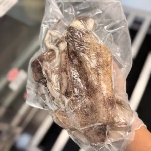 C Fresh Agro Online Order – Fresh Seafood & Meat Vancouver